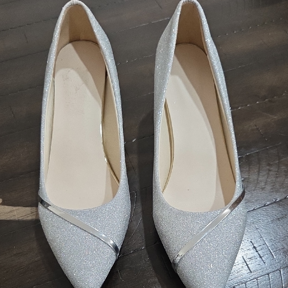 Elegant Silver Women's Shoes